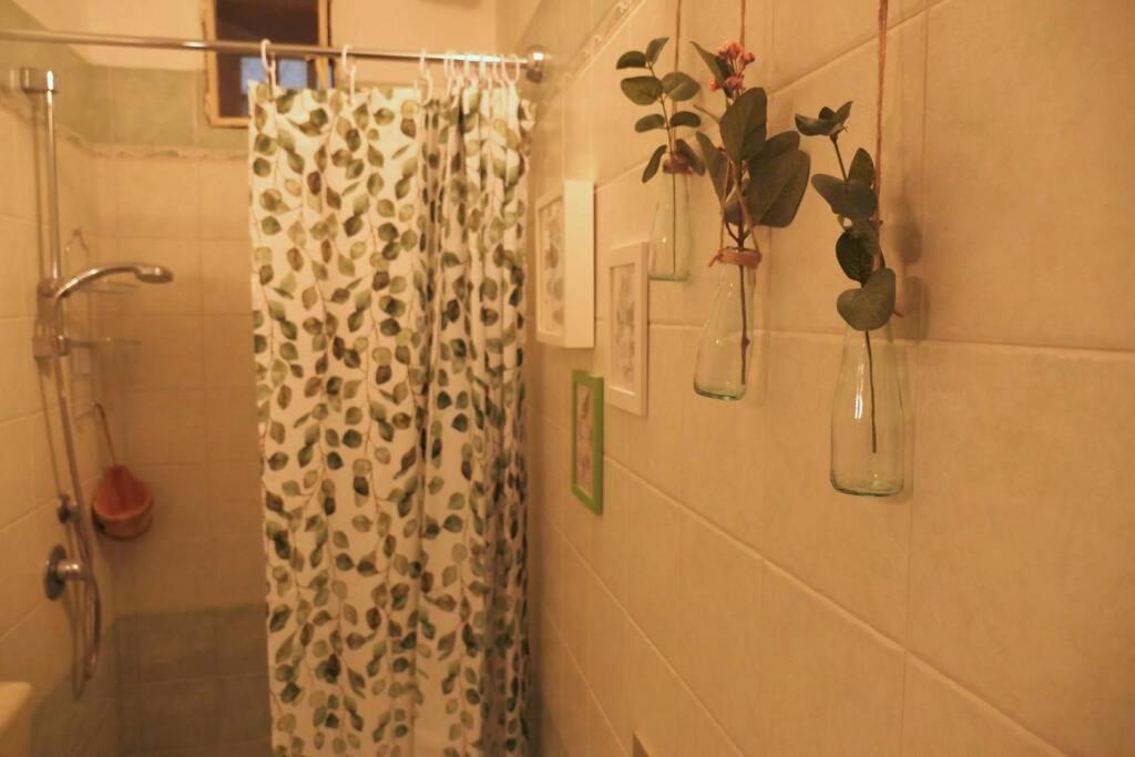 Casa Bicerin Daire Torino Dış mekan fotoğraf